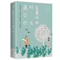在Z好的时光遇见你(塑封)