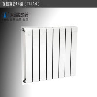 大通(DATONG)铜铝复合暖气片F14-600散热器600mm高每片价格