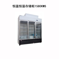 华宇现代1580KWS恒温恒湿存储柜