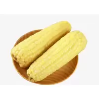 GBW 玉米十斤