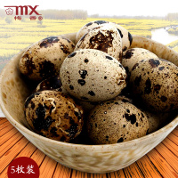 梅香(mx) 鹌鹑蛋 美味鹌鹑蛋 方便速食 香卤鹌鹑茶蛋5只装 35g