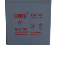 贝朗斯 观光车电池 6-EVF-80 260*169*215mm