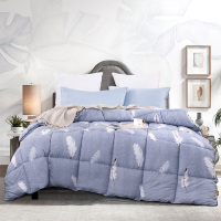 可欣 加厚保暖冬被羽绒被 200*230cm 被芯 双人冬被 绒暖羽绒被 200*230cm