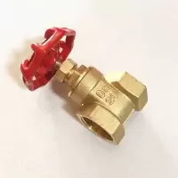 铜闸阀DN50