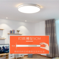 LED圆形 白色吸顶灯 18w 单只装