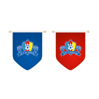 中、小学足球队队旗可定制