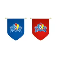 中、小学足球队队旗可定制