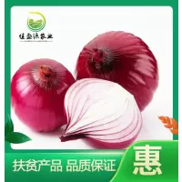 [江苏扶贫][财政集采][睢宁]佳盛源 红洋葱 10斤装(仅限睢宁县内同城配送)