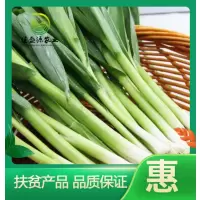 【江苏扶贫】【财政集采】【睢宁】佳盛源 蒜苗 10斤装(仅限睢宁县内同城配送)