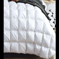 金丝莉(kintheri) 皇家轻奢白鹅绒被 JB-1070 200×230cm 1250g 单张价格