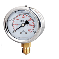 BLD 耐震压力表Y-100/-0.1~0.06MPa/径向/直径20mm×1.5/1.6级/含102所检测