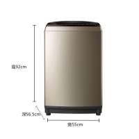 小天鹅(LittleSwan) TB80-6288DCLG洗衣机全自动波轮变频8公斤水魔方防缠绕 桶自洁变频静音