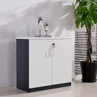 中伟木质二门储物柜文件柜带锁小柜子员工办公柜茶水柜收纳柜档案柜资料柜矮柜800*400*800mm