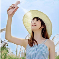 [精选]CHOETECH 折叠加湿器风扇 3-FAN002 (颜色随机)