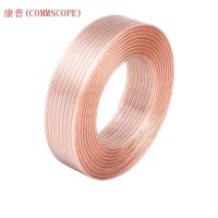 康普(COMMSCOPE)音频线2*100支/米 1米