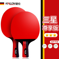 健伦(JEEANLEAN) 乒乓球拍 乒乓球拍套 家用训练健身 比赛 乒乓球桌 标准乒乓球拍 三星