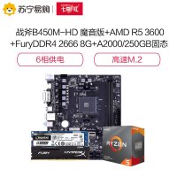 七彩虹B450M-HD魔音主板+AMD R5 3600+金士顿FuryDDR4 2666 8G+A2000/250GB