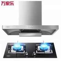 万家乐18m³大吸力壁挂顶吸欧式吸油烟机4.5KW黄金火力家用灶具烟灶套装AT441+JZT-KJ031B(液化气)