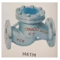 欧隆(OULONG) 法兰升降止回阀 H41T-16 50mm 碳钢 -LS