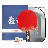 启康 红双喜(DHS)乒乓球成品拍 狂飙礼盒装专业球拍双面反胶进攻型直拍NO.5横拍NO.6