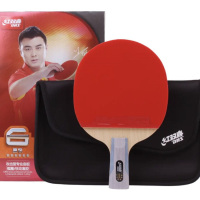 乒乓球拍 R6006