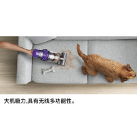 戴森(Dyson)-V10 Animal-无绳吸尘器