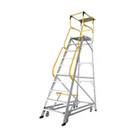 稳耐工具 铝合金单侧平台梯 称重170kg 14台阶 FS13599