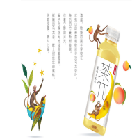 东方树叶茉原味茶-莉花茶500ml*15瓶/箱