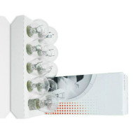 TLSF 中灯泡 单尾平角 24V 通用 单位：盒