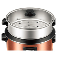 AUX/奥克斯2-3-4-5人用电饭锅半球型家用老式3L电饭锅电饭煲WZA-0303金色