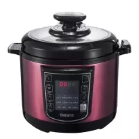 格兰仕(Galanz) 电压力锅 WY3J 家用全自动智能5L升高压饭煲双胆2-3-4-5-6人