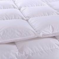 金丝莉 西伯利亚 羽绒被 JB-1029