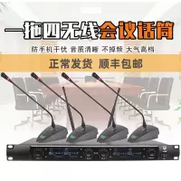 iDiskk 无线鹅颈话筒 GL-U838一拖二鹅颈(会议)话筒