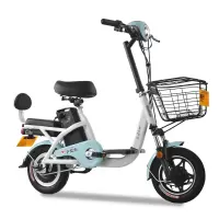 新日(Sunra)电动车 新国标小萝莉电动自行车 成人电瓶车 男女式中小型助力踏板车轻便迷你代步车 碧波青绿/珍珠白