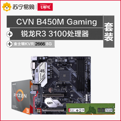 七彩虹CVN B450M GAMING V14主板+AMD 3100处理器+KVR DDR4 2666