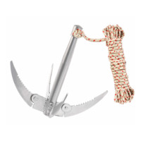 威力狮 拉锚 300 (金辉定制)