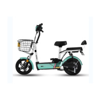 企购优品 新日小糖果 电动车成人电瓶车 轻便小巧48V12A铅酸电池 代步车