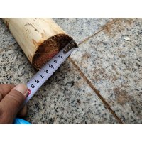 恬妞 木质抬杠/ 50根