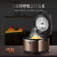 苏泊尔电压力锅 IH电磁加热 球釜内胆 鲜呼吸 SY-50FH805Q 5L高压锅