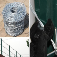 防盗刺 (金辉定制)2个