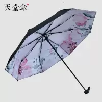 天堂伞 2033687E花香飘逸55*8三折内翻(单位:把)