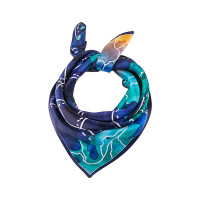 莎莎围巾 春季新款缎面真丝小方巾衬衣领巾空姐通勤百搭 追云逐电