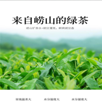海峪春(HAI YU CHUN) 崂山绿茶 AA级崂山炒青茶200g 浓香耐泡豆香礼盒装 单盒价