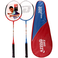 启康 红双喜(DHS)羽毛球拍 铁300 对拍套装铁合金材质 已穿线