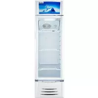 美的 Midea/SC-215GWM饮料冰柜商用立式展示柜 冷藏保鲜柜 单温柜 侧开门商用展示柜