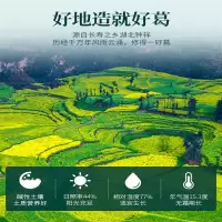 葛根粉250g