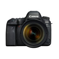 佳能(Canon)EOS 6D2(24-70mm f/4L IS USM)数码专业单反 单镜头套装全画幅2620万