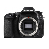 佳能(Canon) EOS 80D(18-200mm IS) 数码单反相机 单镜头 套装 约2420万像素
