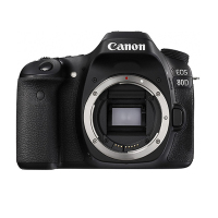 佳能(Canon) EOS 80D(18-200mm IS+配件套装) 数码单反相机 单镜头套装 约2420万像素