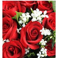 红玫瑰 19朵 慢慢喜欢你 请提前8小时以上订 可当日送达
